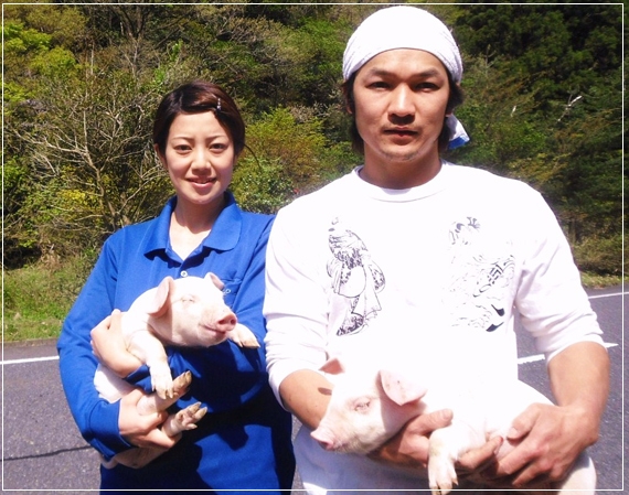 tuyển lao động chăn nuôi tại Nhật Bản